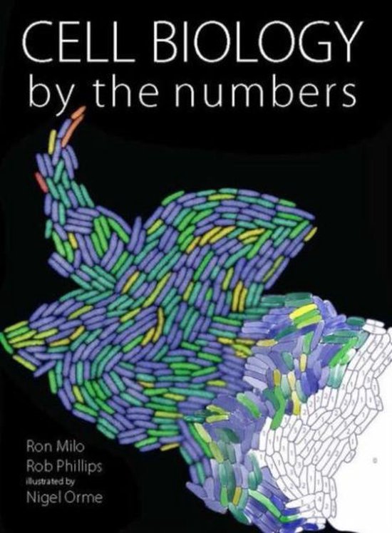 Cell Biology By The Numbers