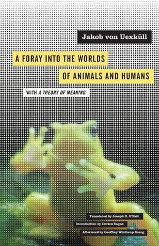 Foray Into The Worlds Of Animals Humans