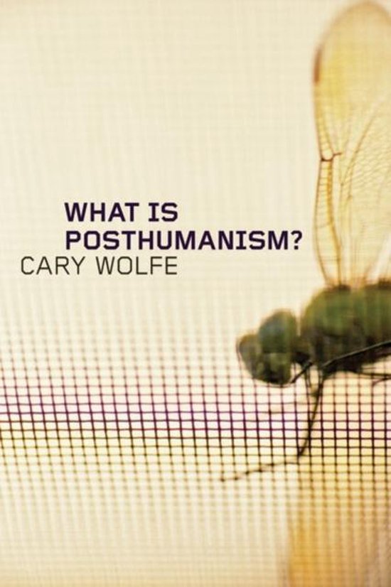 What is Posthumanism?