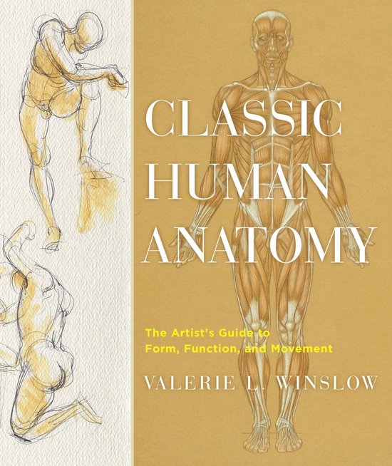 Classic Human Anatomy