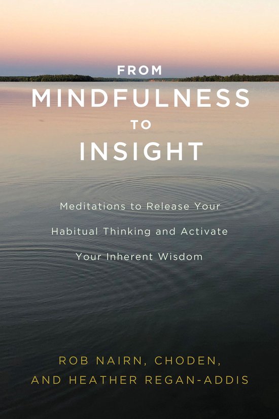 From Mindfulness to Insight
