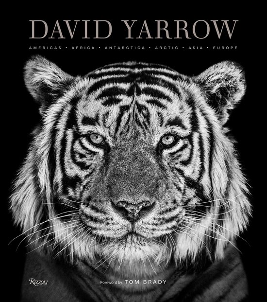 David Yarrow Photography Americas Africa Antarctica Arctic Asia Europe