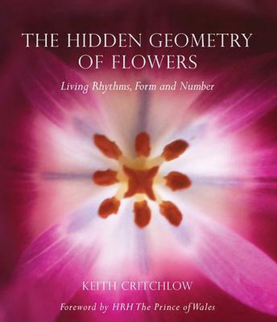 Hidden Geometry Of Flowers