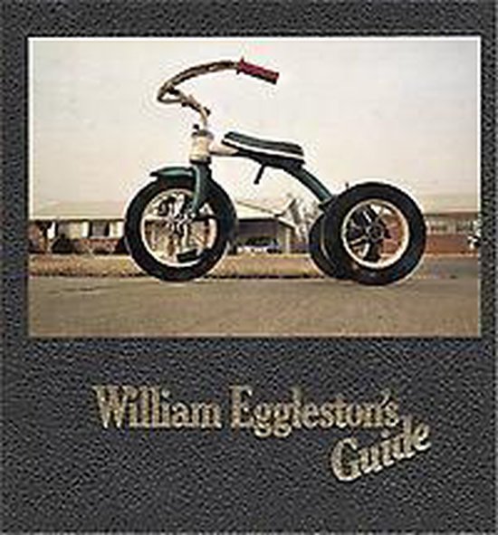 William Egglestons Guide