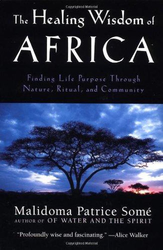 The Healing Wisdom of Africa