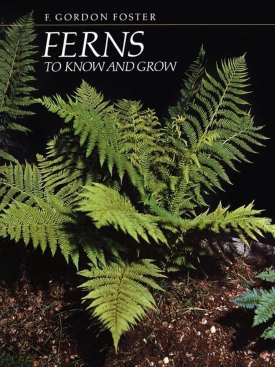 Ferns To Know And Grow