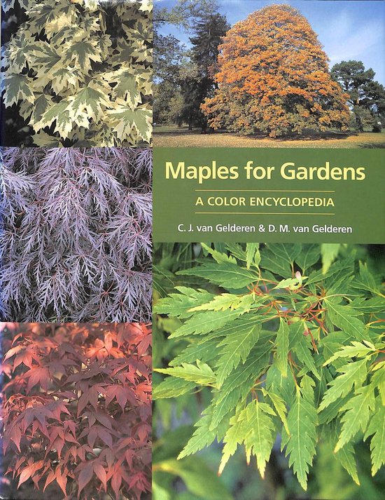 Maples For Gardens