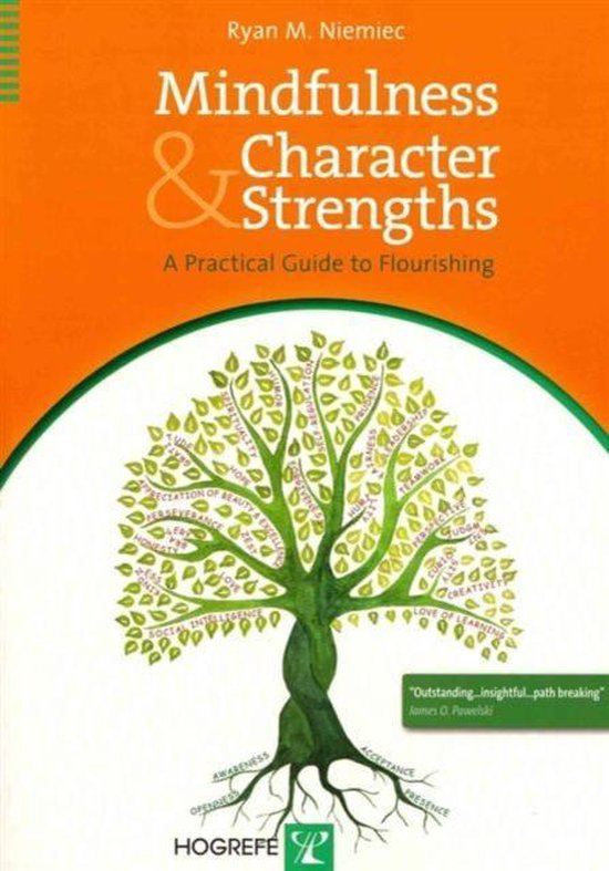 Mindfulness And Character Strengths