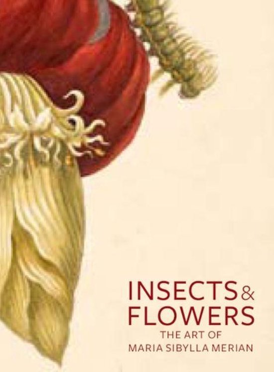 Insects And Flowers