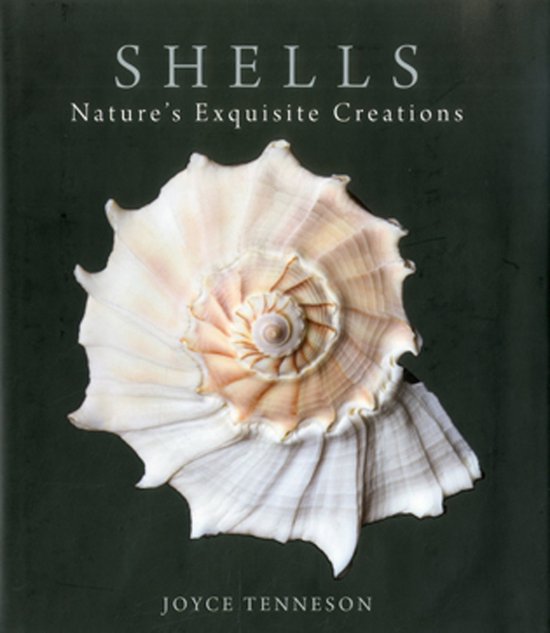 Shells