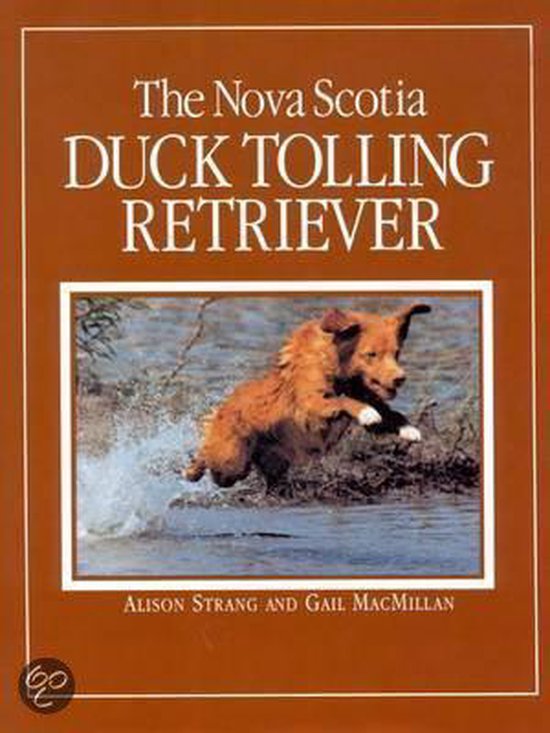 The Nova Scotia Duck Tolling Retriever