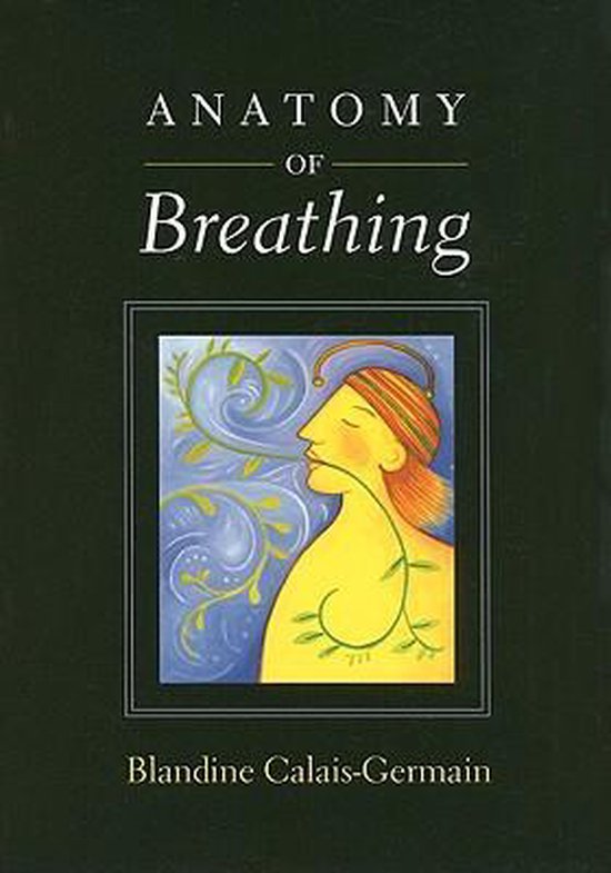 Anatomy Of Breathing