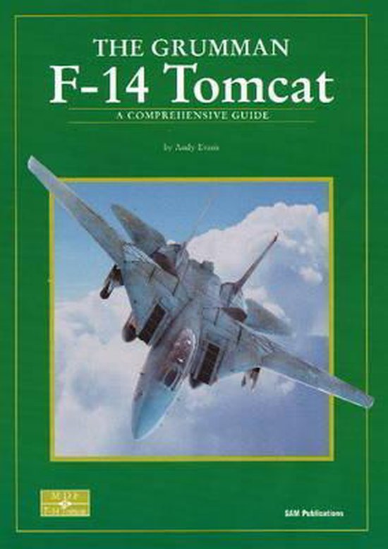 Grumman F-14 Tomcat