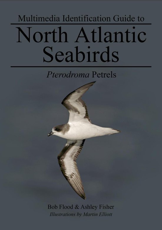 Pterodroma Petrels: North Atlantic Seabirds