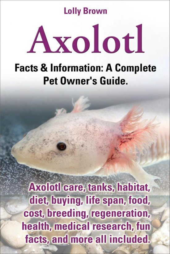 Axolotl