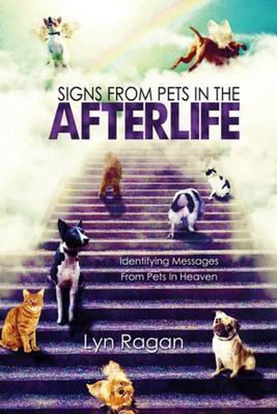 Signs from Pets in the Afterlife