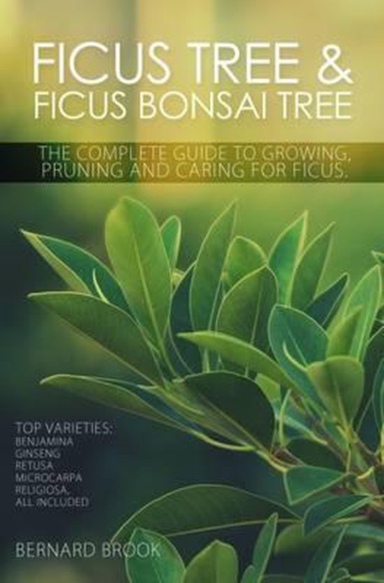 Ficus Tree and Ficus Bonsai Tree - The Complete Guide to Growing, Pruning and Caring for Ficus