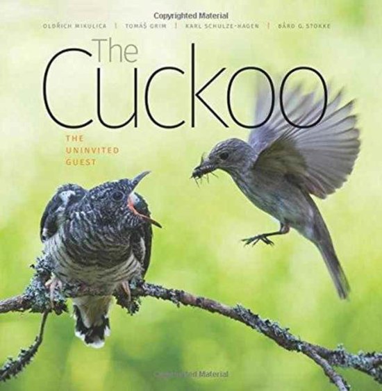 Cuckoo