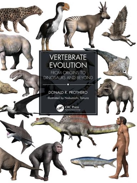 Vertebrate Evolution