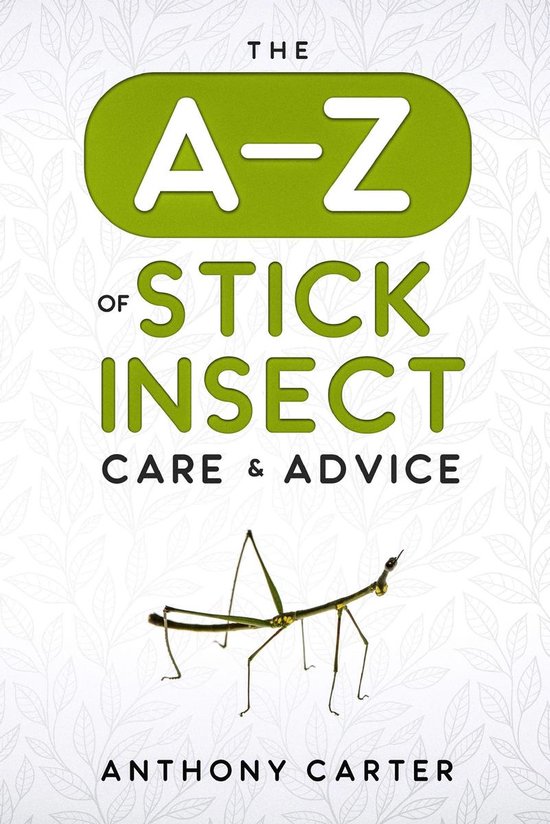 The A-Z of Stick Insect Care & Advice