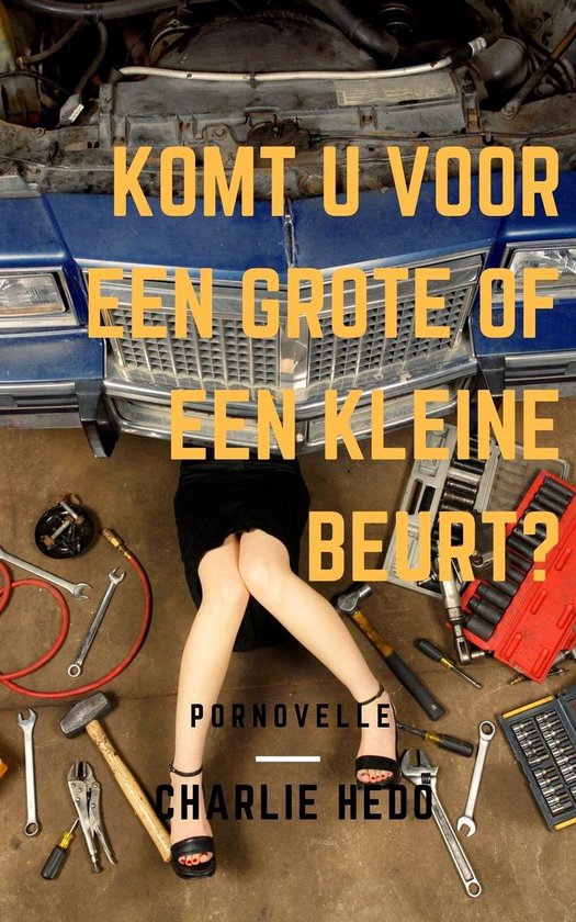 Komt u voor een grote of een kleine beurt?