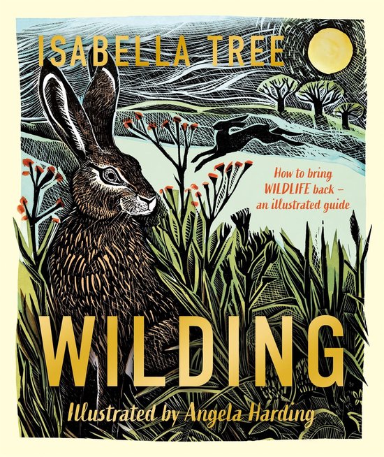 Wilding: How to Bring Wildlife Back - an Illustrated Guide