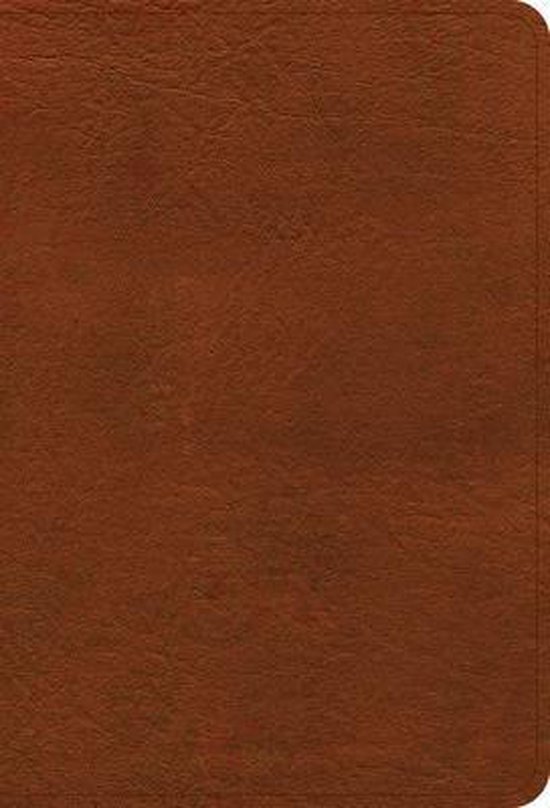 NASB Large Print Compact Reference Bible, Burnt Sienna