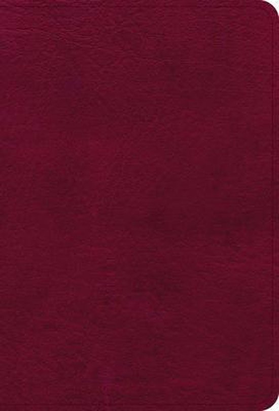 NASB Large Print Compact Reference Bible, Burgundy