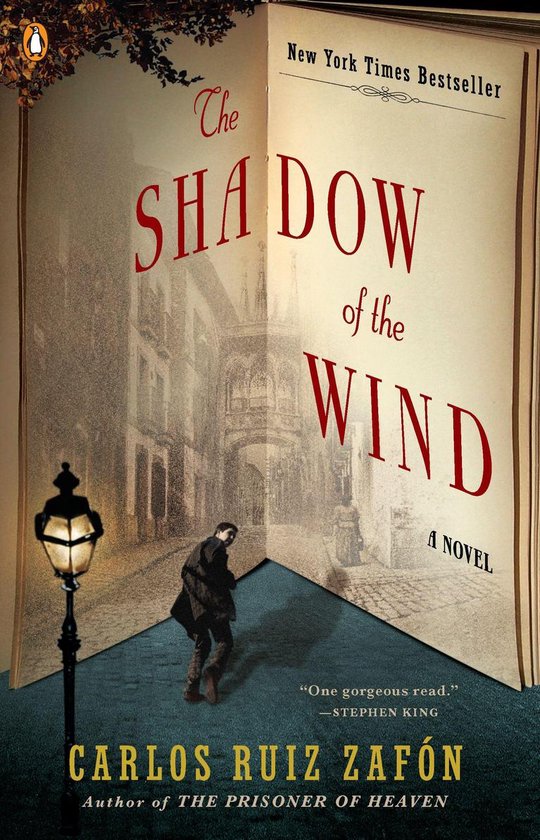 The Cemetery of Forgotten Books - The Shadow of the Wind