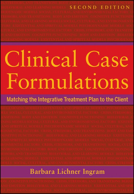 Clinical Case Formulations