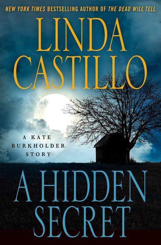 Kate Burkholder - A Hidden Secret