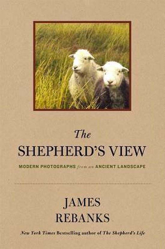 The Shepherd's View