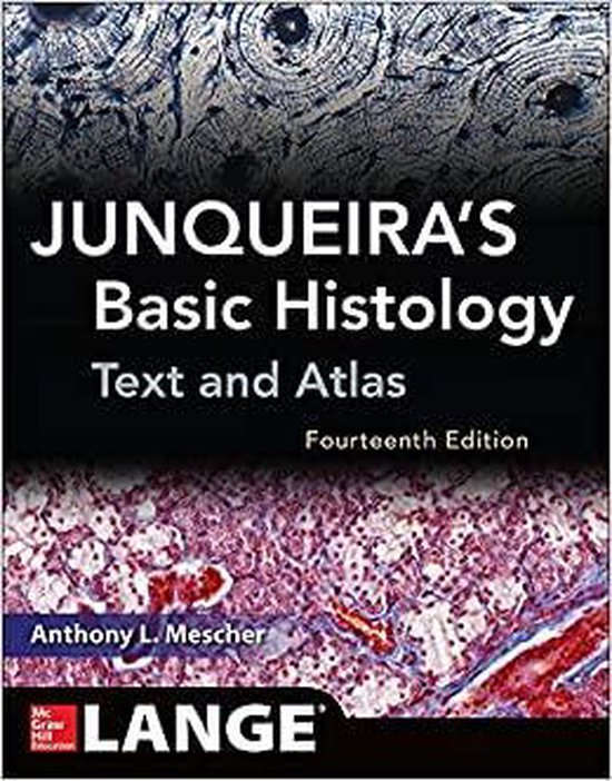 Junqueira'S Basic Histology Text & Atlas