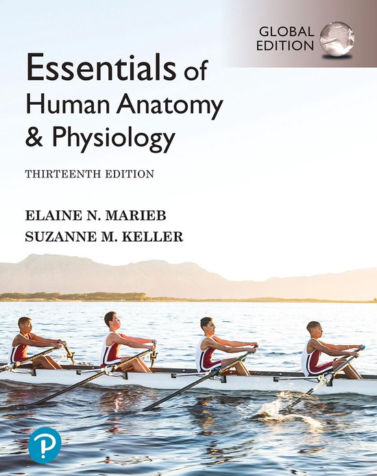 Essentials of Human Anatomy & Physiology, Global Edition