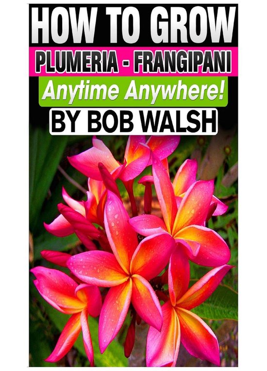 How To Grow Plumeria – Frangipani Anytime Anywhere!