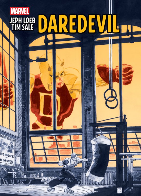 Jeph Loeb & Tim Sale: Daredevil Gallery Edition