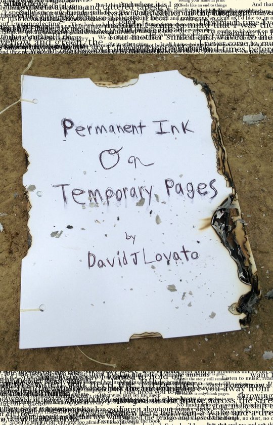 Pen and Paper, Wood and Nails - Permanent Ink on Temporary Pages