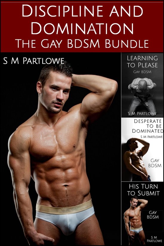 Discipline and Domination: The Gay BDSM Bundle (Gay, BDSM, Spanking, Bondage)