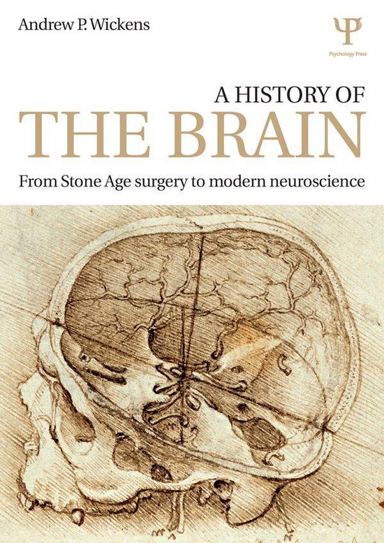 A History of the Brain