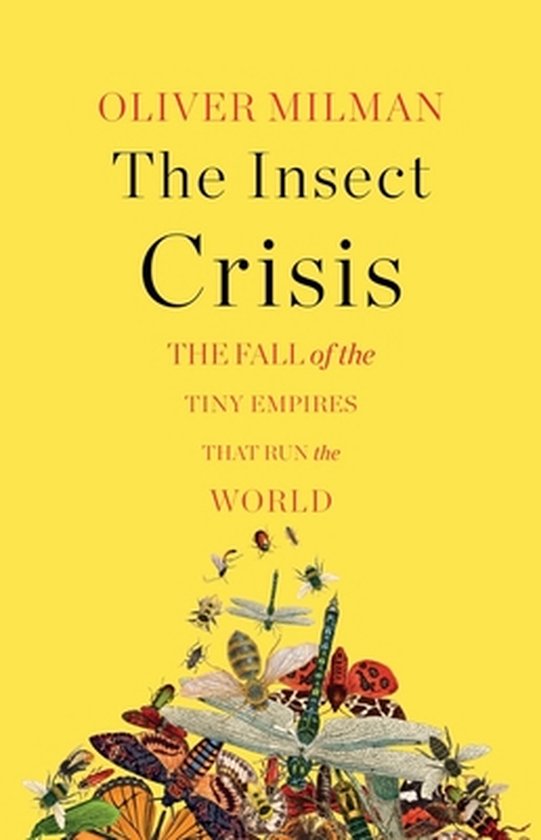 The Insect Crisis