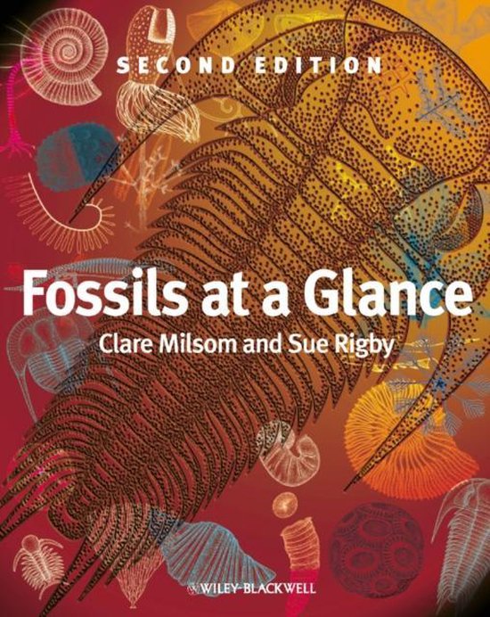 Fossils At A Glance