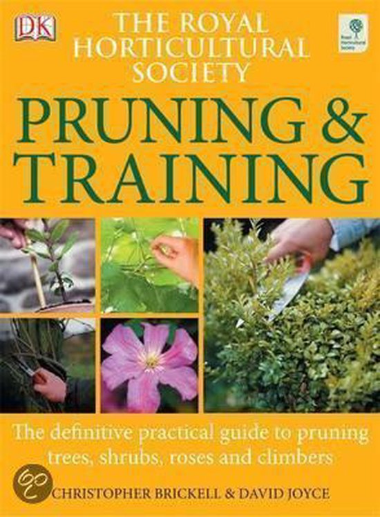 Rhs Pruning And Training