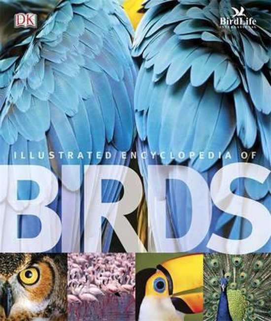 Illustrated Encyclopedia Of Birds