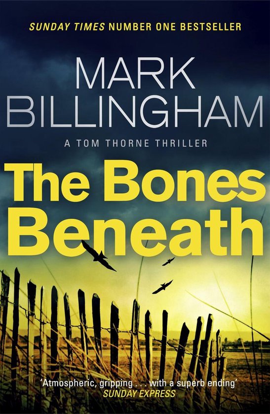 Tom Thorne Novels 12 - The Bones Beneath