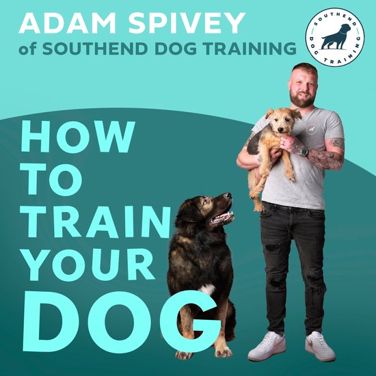 How to Train Your Dog