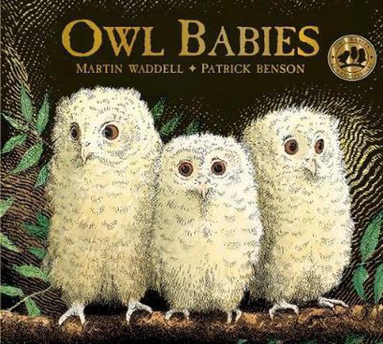 Owl Babies