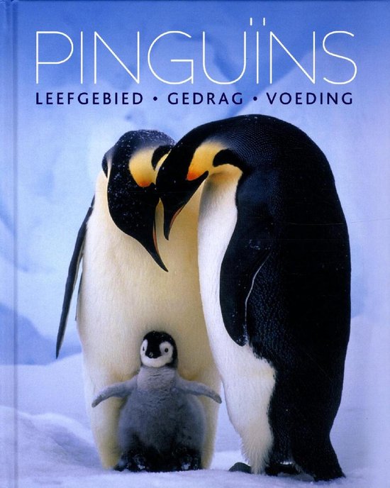 PinguÃ¯ns