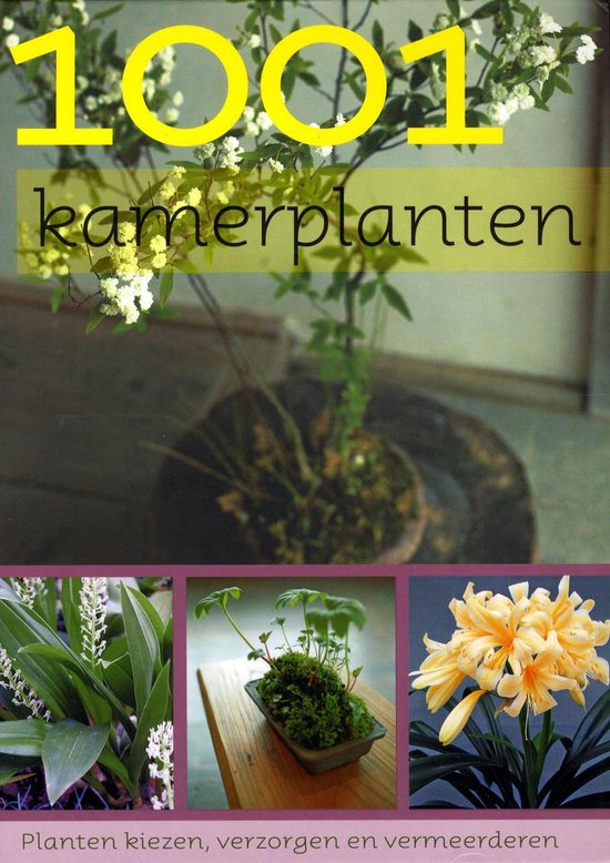 1001 kamerplanten