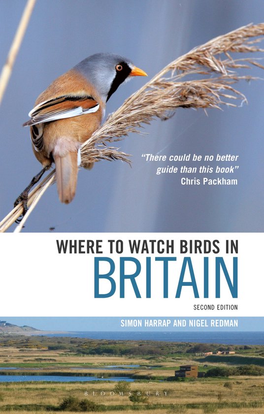 Where To Watch Birds In Britain