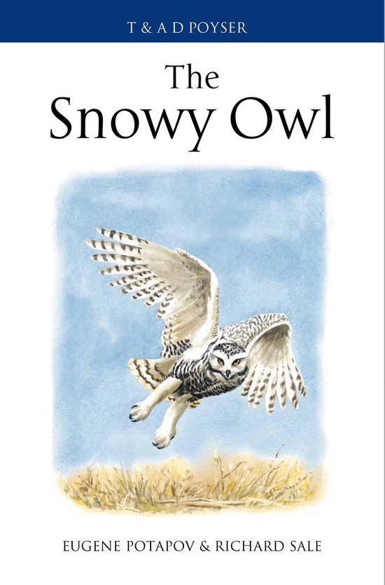 The Snowy Owl